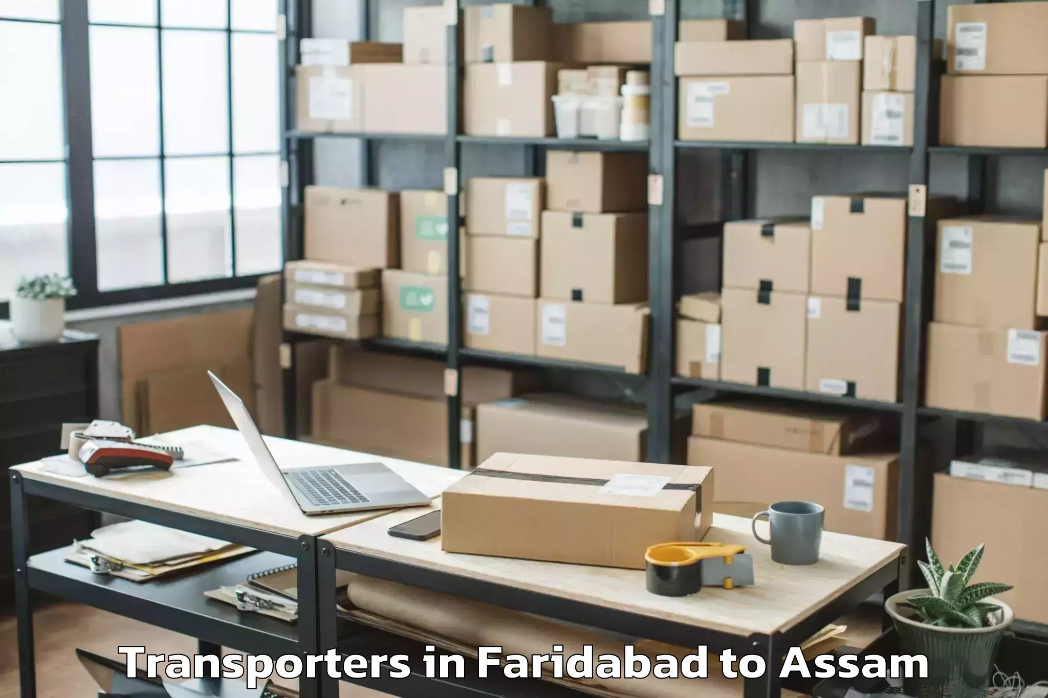 Professional Faridabad to Khoirabari Pt Transporters